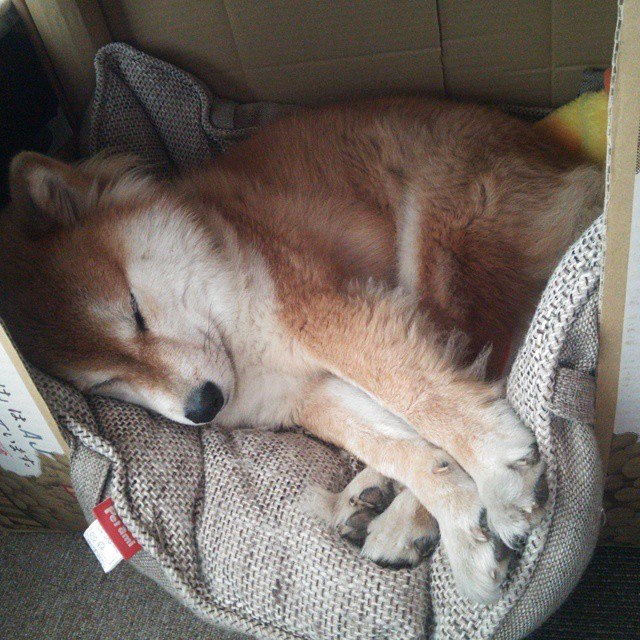 基米希终场前爆发，塞维利亚压哨绝杀奥地利劲旅