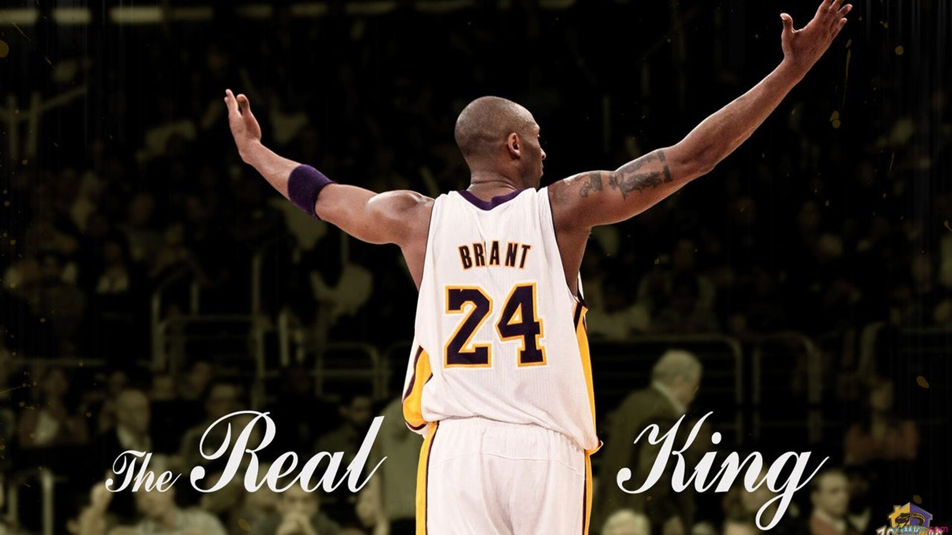 世界排名争夺战之夜，马丁内利状态火热