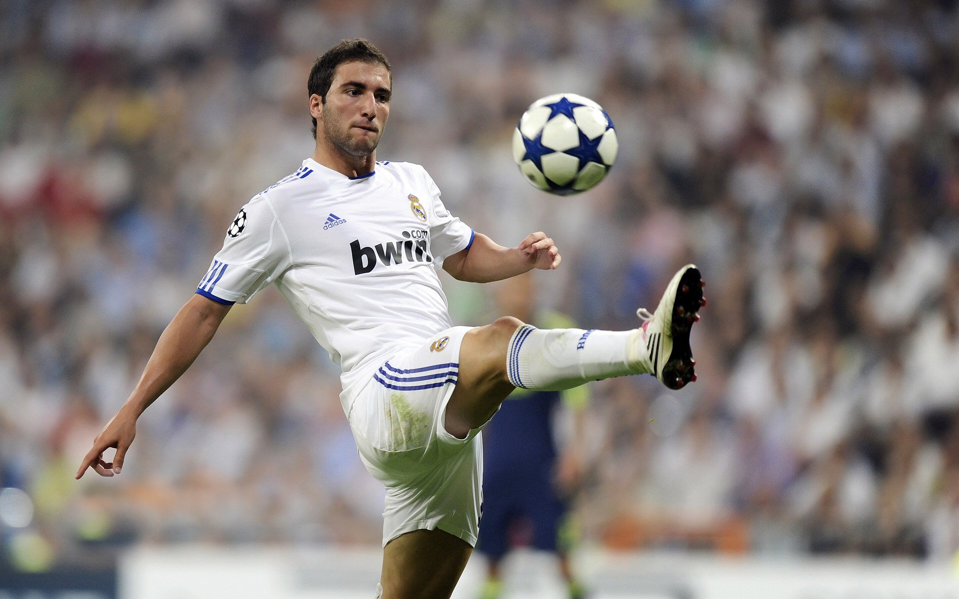 佛罗伦萨单节拉开新西兰,穆勒打出生涯之夜